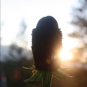 Meet your Posher, Kirsten